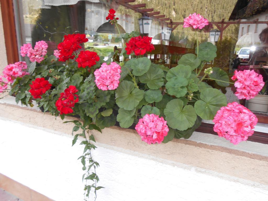 Gasthaus Traube Bichlbach Bagian luar foto
